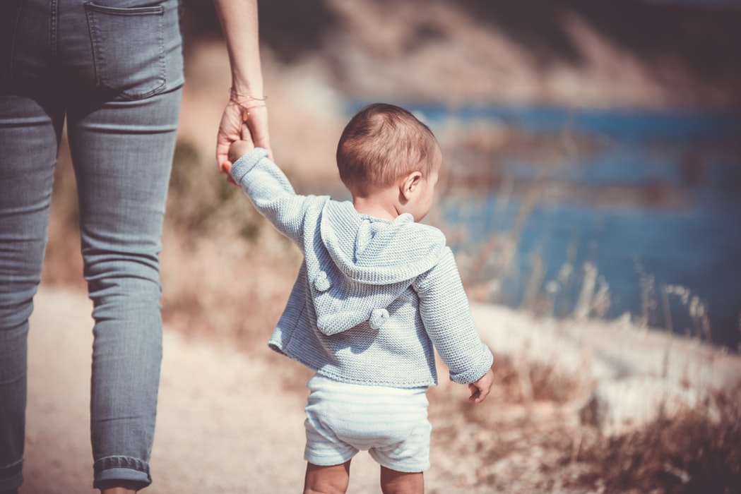 View from the back of a small child wearing a blue knitted hoodie and white shorts being led by the hand by an adult